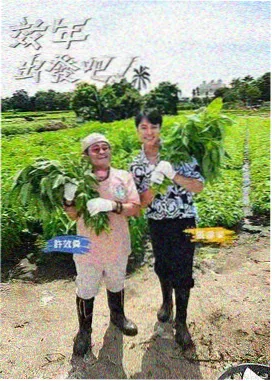 电视剧在线观看 老牛影视 综艺 乘风破浪